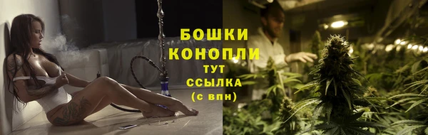 гидра Баксан