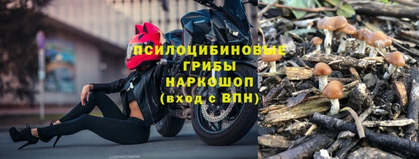 каннабис Белокуриха